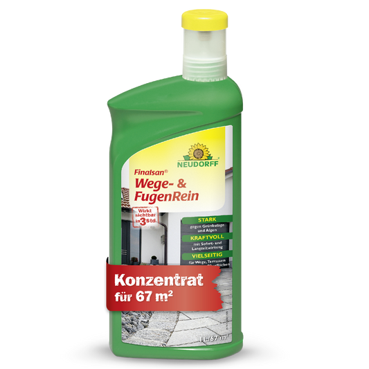 Finalsan Wege- & FugenRein