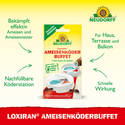 Loxiran Ameisenköderbuffet