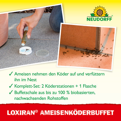Loxiran Ameisenköderbuffet