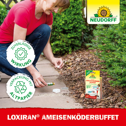 Loxiran Ameisenköderbuffet