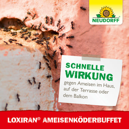 Loxiran Ameisenköderbuffet