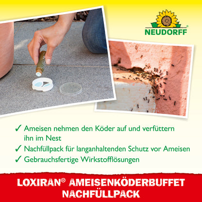 Loxiran AmeisenKöder