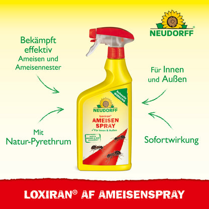 Loxiran AF AmeisenSpray
