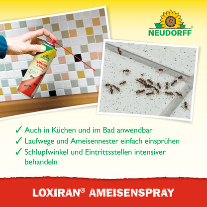 Loxiran AmeisenSpray