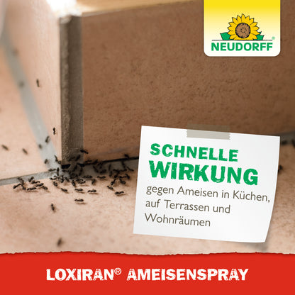 Loxiran AmeisenSpray