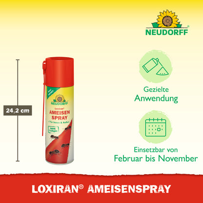 Loxiran AmeisenSpray