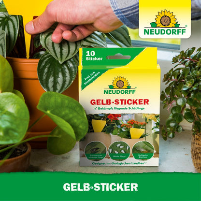 Gelb-Sticker