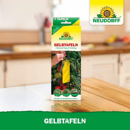 Gelbtafeln (kleinformatig)
