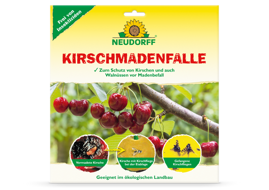 KirschmadenFalle