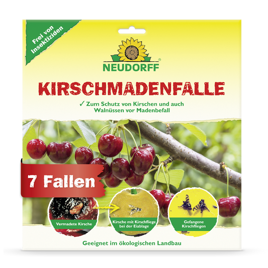 KirschmadenFalle