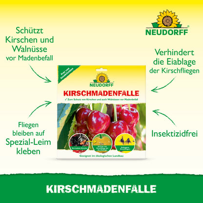 KirschmadenFalle