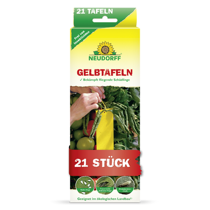 Gelbtafeln (kleinformatig)
