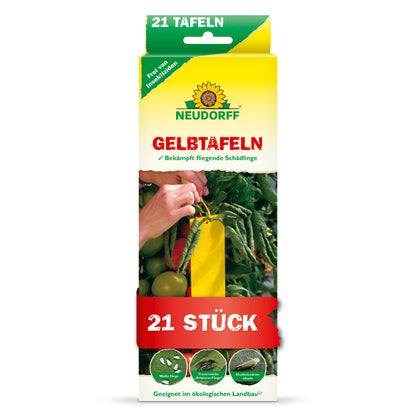 Gelbtafeln (kleinformatig)