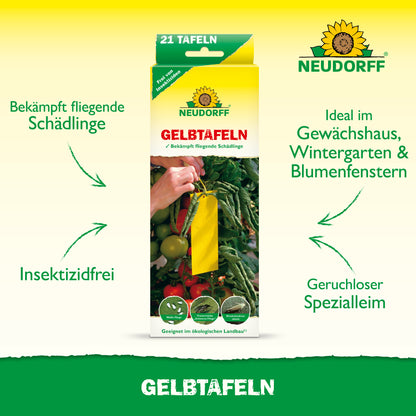 Gelbtafeln (kleinformatig)