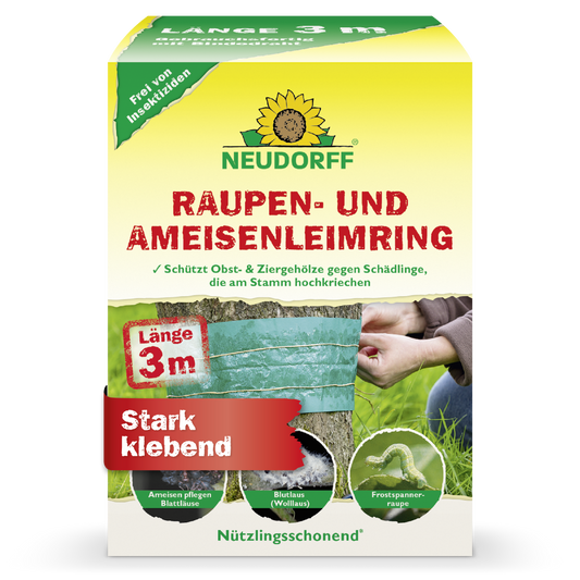 Raupen- und AmeisenLeimring