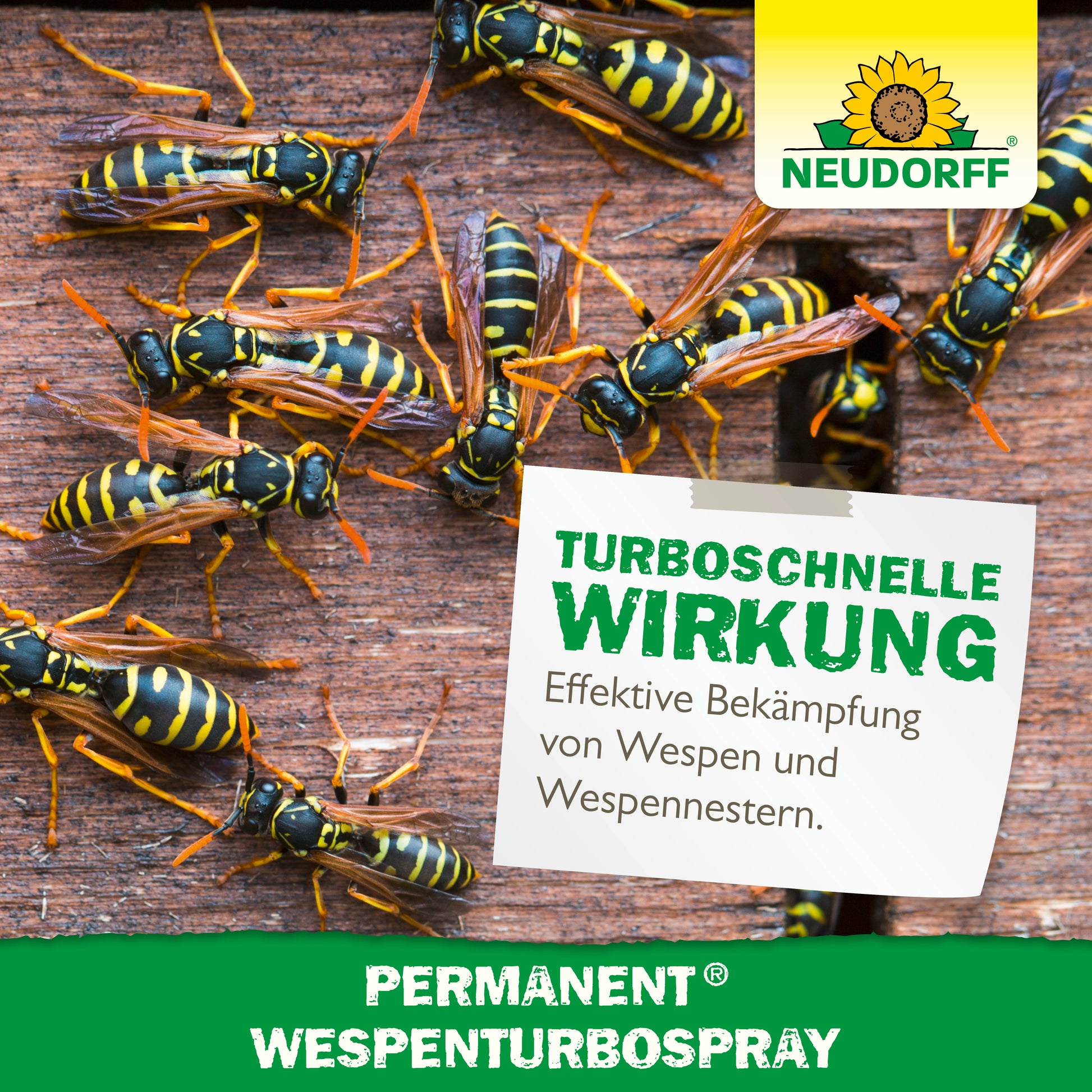Schnelle Wirkung im Kampf gegen Wespen rund um das Haus: Permanent WespenTurbospray von Neudorff mit praktischem Sprühkopf zum gezielten Einsatz aus sicherer Entfernung