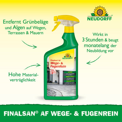 Finalsan AF Wege- & FugenRein