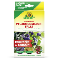 Neudomon PflaumenmadenFalle Nachfüllpack