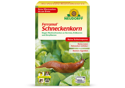 Neudorff Ferramol Schneckenkorn gegen Nacktschnecken an Gemüse, Erdbeeren und Zierpflanzen für eine sofortige Ernte nach der Anwendung, hoher Regenfestigkeit und sauberer Wirkung ohne Schleimspuren und sichtbar tote Tiere