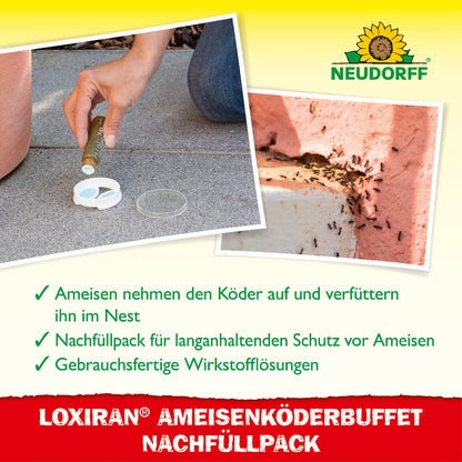 Loxiran Ameisenköderbuffet Nachfüllpack