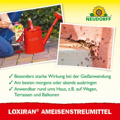 Loxiran AmeisenStreumittel