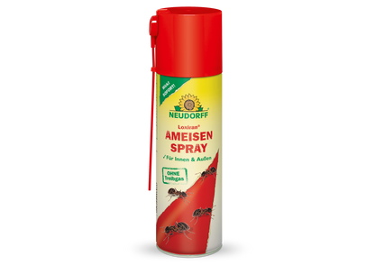 Loxiran AmeisenSpray