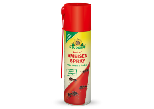 Loxiran AmeisenSpray
