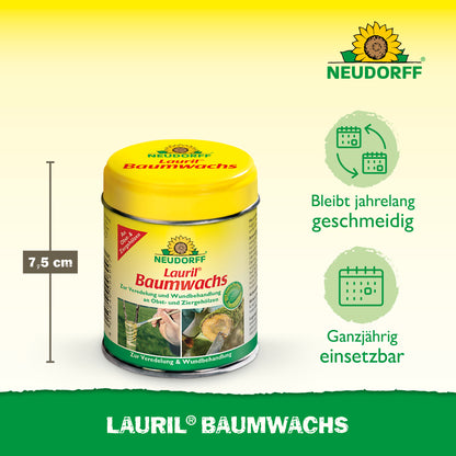 Lauril Baumwachs