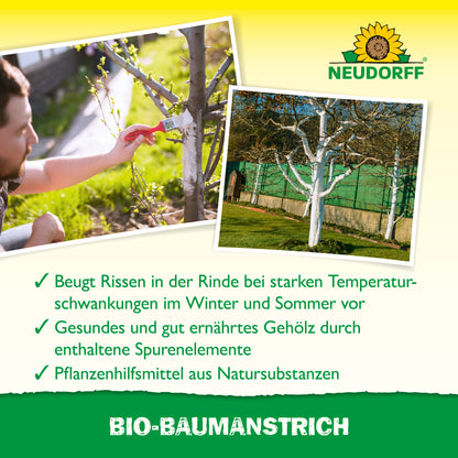 Bio-Baumanstrich