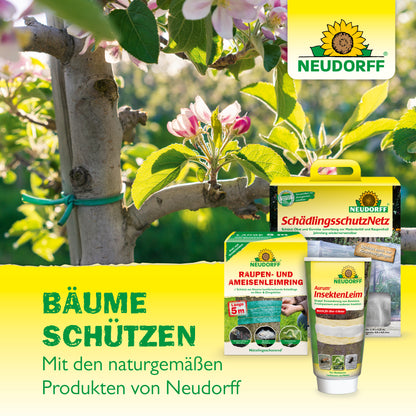 Bio-Baumanstrich