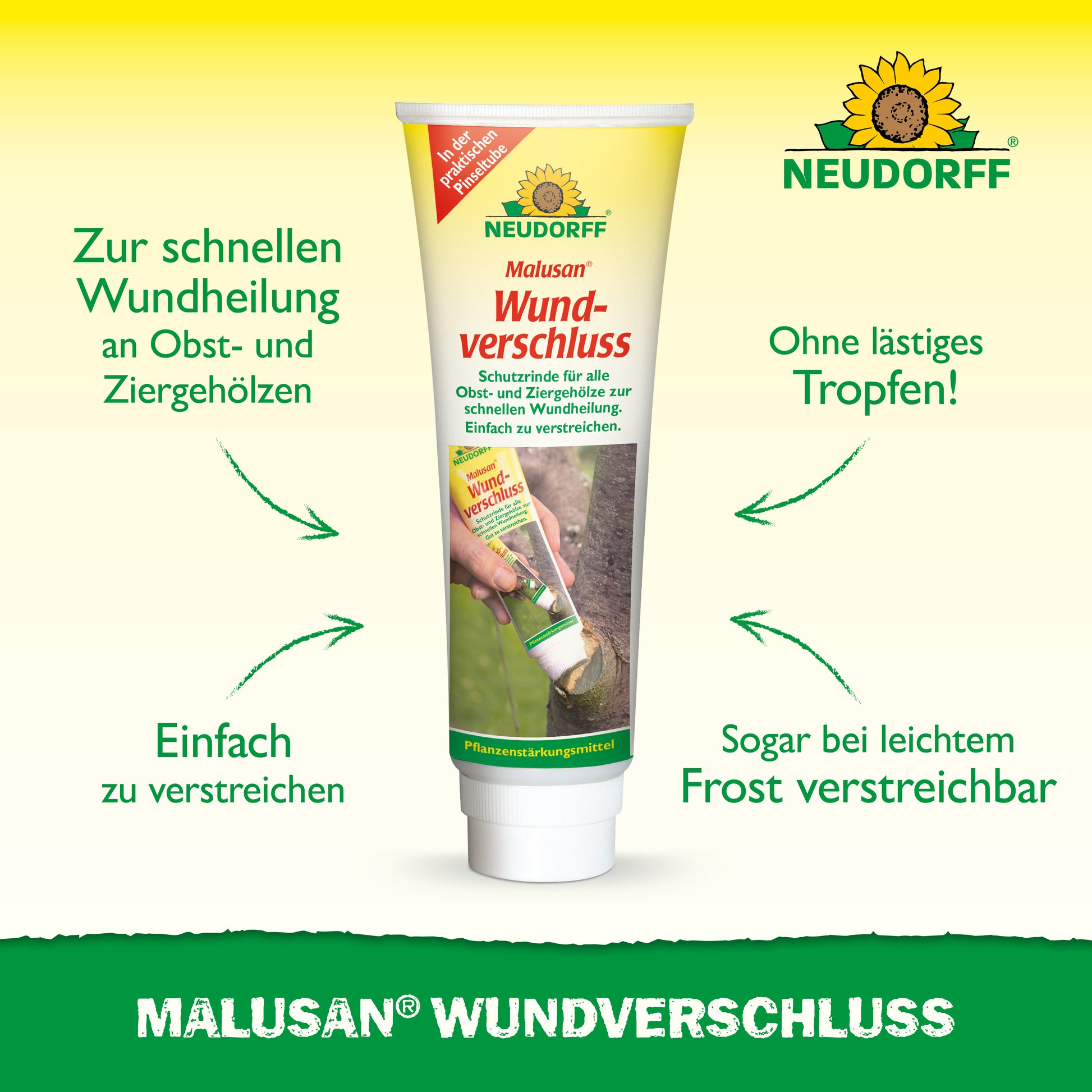 MALUSAN Wundverschluss: zur schnellen Wundheilung an Obst- und Ziergehölzen