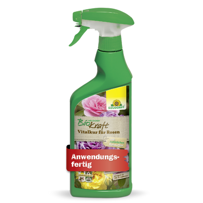 Neudorff BioKraft Vitalkur für Rosen AF