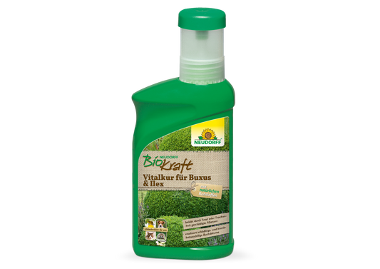 Neudorff BioKraft Vitalkur für Buxus & Ilex
