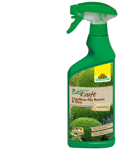 Neudorff BioKraft Vitalkur für Buxus & Ilex AF