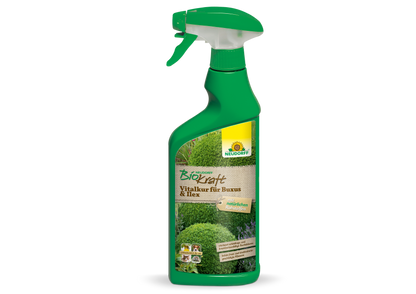 Neudorff BioKraft Vitalkur für Buxus & Ilex AF
