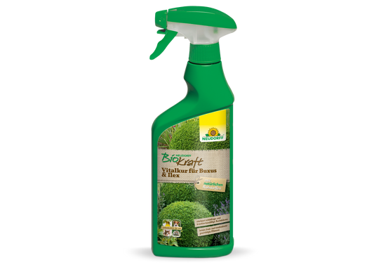 Neudorff BioKraft Vitalkur für Buxus & Ilex AF