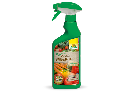 Neudorff BioKraft Vitalkur für Obst & Gemüse AF