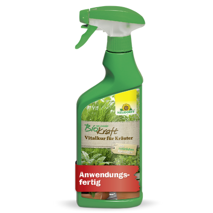 Neudorff BioKraft Vitalkur für Kräuter AF