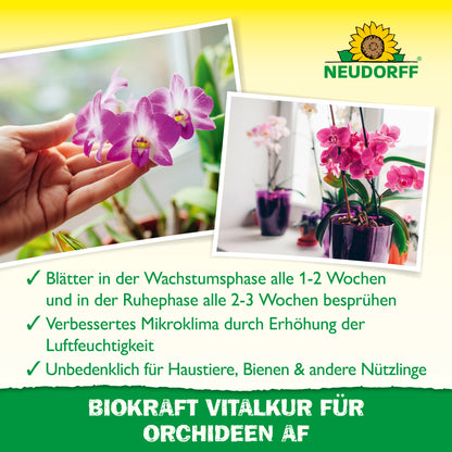 Neudorff BioKraft Vitalkur für Orchideen AF