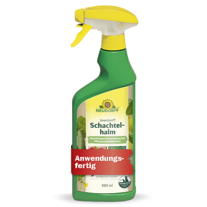 Grundstoff Schachtelhalm