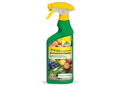 Neudorff BioKraft Grundstoff Schachtelhalm