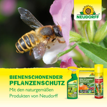 Armisan AF PilzFrei Obst- und Gemüse MehltauFrei