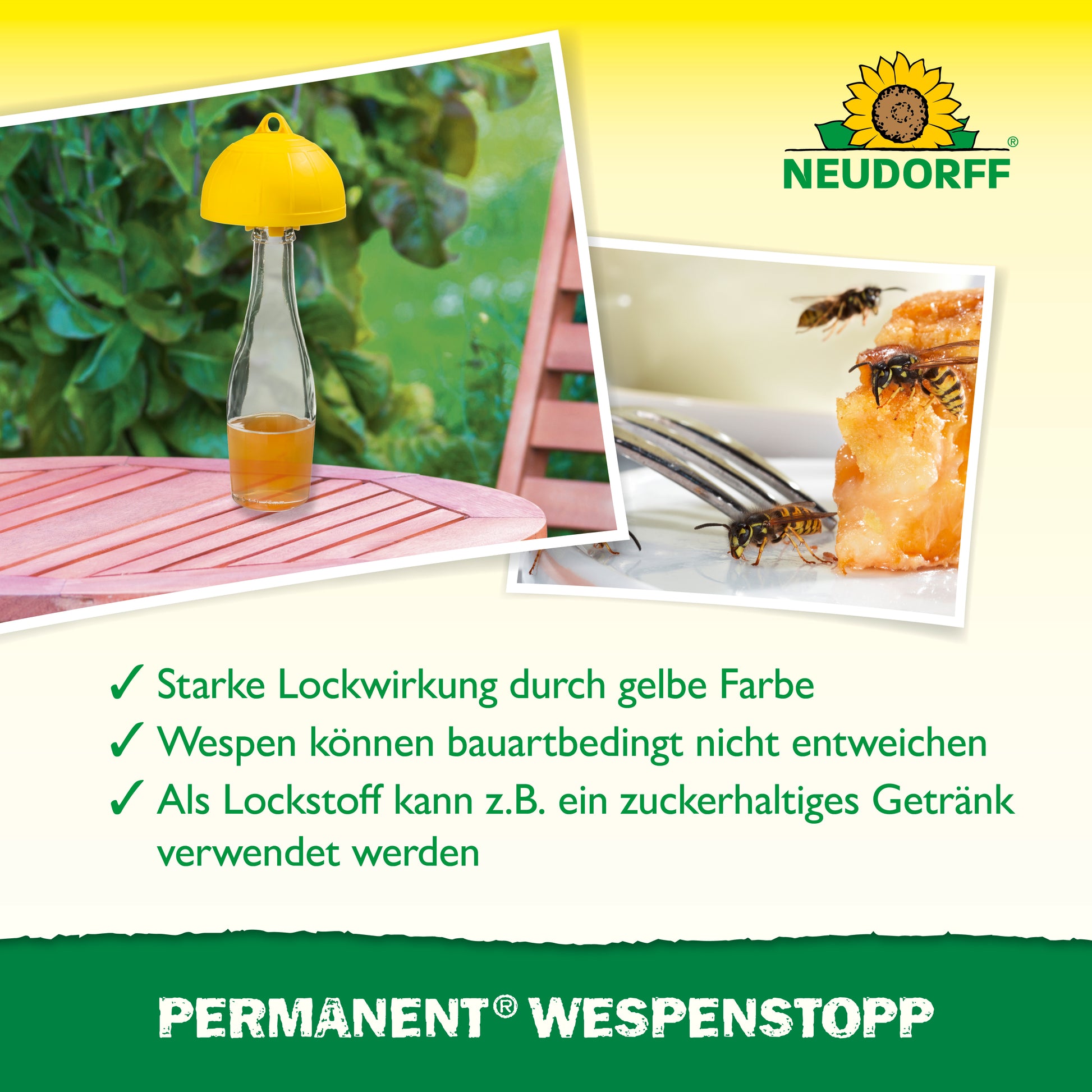 Du suchst eine zuverlässige Falle für Wespen? Aus dem Permanent Wespenstopp von Neudorff , der dank seines intensiven Gelbtons eine hohe Lockwirkung auf Insekten hat, können Wespen, Fliegen oder Mücken bauartbedingt nicht entwischen