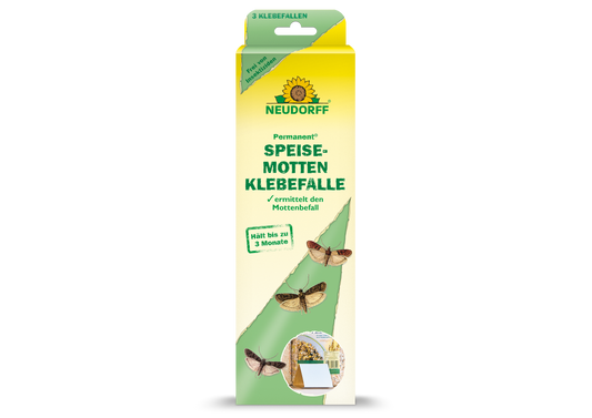Permanent SpeisemottenKlebefalle