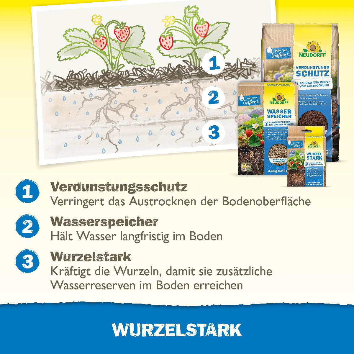 Neudorff Produkte für Pflanzen bei Trockenheit sind laut Grafik der Verdunstungsschutz (verringert das Austrocknen der Bodenoberfläche), der Wasserspeicher (hält Wasser langfristig im Boden) und Wurzelstark (kräftigt die Wurzeln, damit sie zusätzliche Wasserreserven im Boden erreichen)