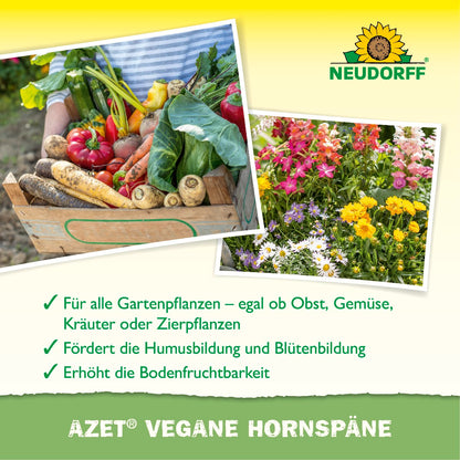 Azet Vegane Hornspäne