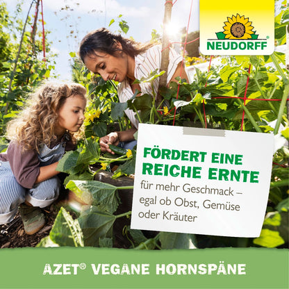 Azet Vegane Hornspäne