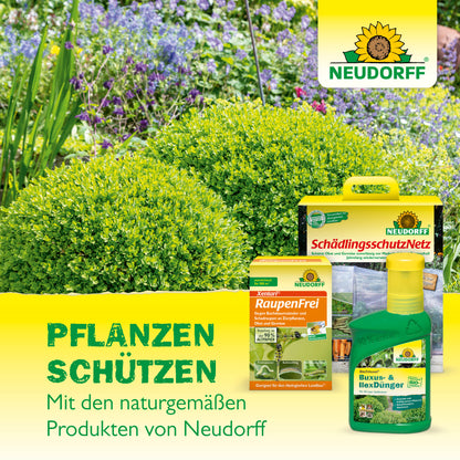 Neudomon BuchsbaumzünslerFalle Nachfüllpack