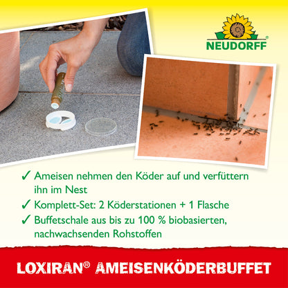 Loxiran AmeisenköderBuffet