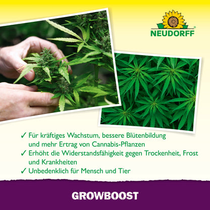 GrowBoost
